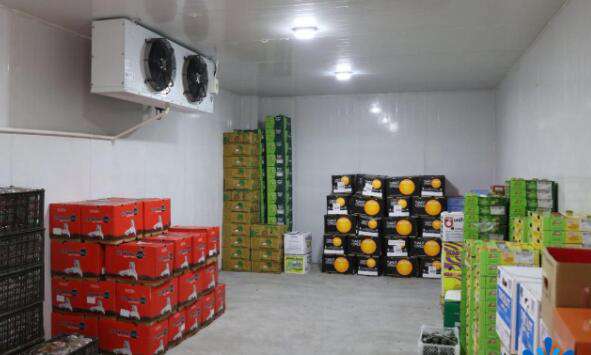 1634785935126269.jpg 1634785935126269.jpg