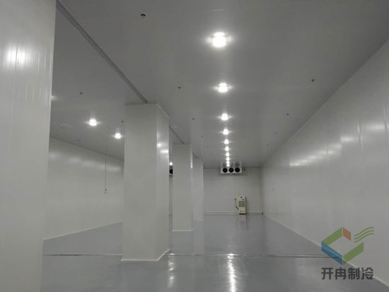 沈陽生物制劑冷庫建設標準 gsp診斷試劑冷庫