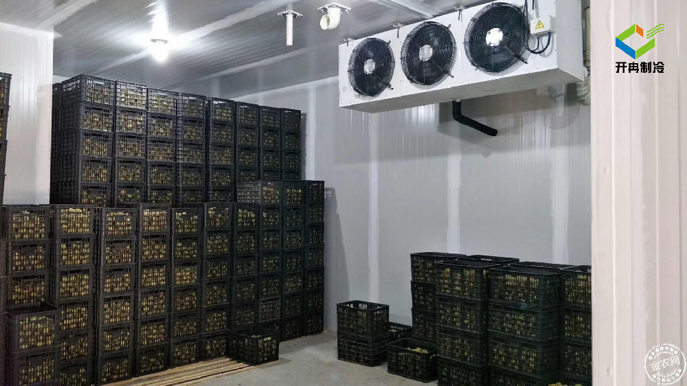 建造一個100噸的水果保鮮冷庫多少錢？