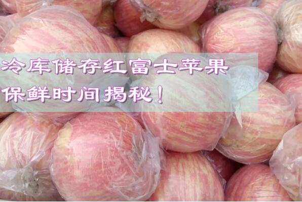 冷庫(kù)儲(chǔ)存紅富士蘋果，保鮮時(shí)間揭秘!