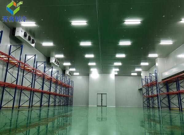 設(shè)一個(gè)2000噸冷庫(kù)需要多少錢？冷鏈物流行業(yè)的投資與挑戰(zhàn)