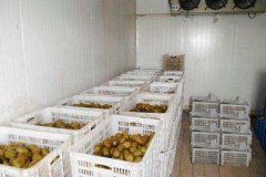 0-10℃高溫冷庫(kù)的建造價(jià)格是多少