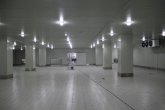 3000平方冷藏冷凍冷庫(kù)安裝投資多少錢?