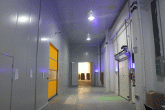 建一個(gè)10000立方米大型冷庫(kù)需要花多少錢?