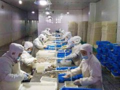 安裝一個3000立方低溫冷凍庫需要投資多少錢？