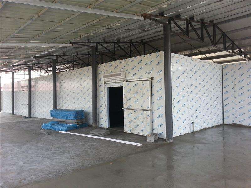 浙江建-60℃金槍魚超低溫冷庫,冷庫總價預算多少 浙江建-60℃金槍魚超低溫冷庫,冷庫總價預算多少