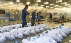 萬噸海鮮冷庫建造價格是多少？