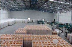 新建一個存放丑橘保鮮冷庫，大概需要多少造價？