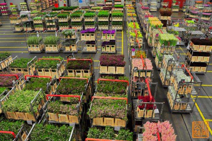 上海1000㎡花卉恒溫庫(kù)安裝設(shè)備需要多少錢 上海1000㎡花卉恒溫庫(kù)安裝設(shè)備需要多少錢