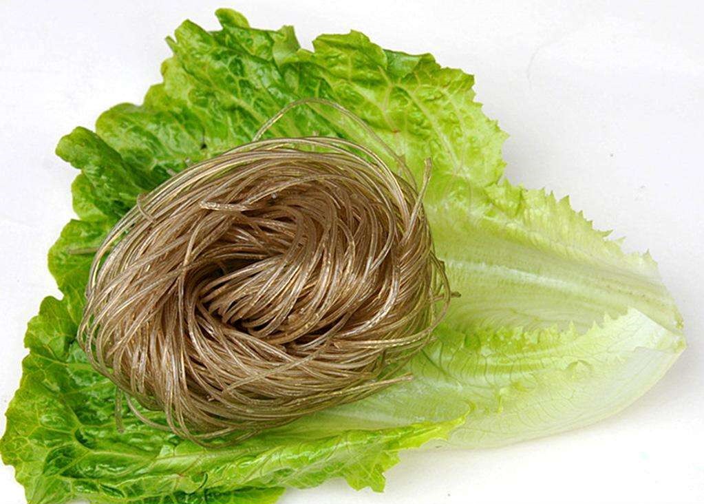 30000斤粉條冷凍庫儲藏標(biāo)準及設(shè)備安裝費用多少