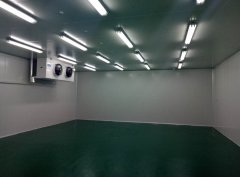 100m3血液冷庫溫度一般多少度，醫療冷庫報價