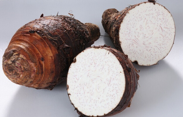 芋頭速凍保鮮庫(kù)