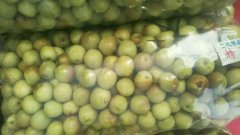 凍庫設計，冬棗保鮮庫多少錢？