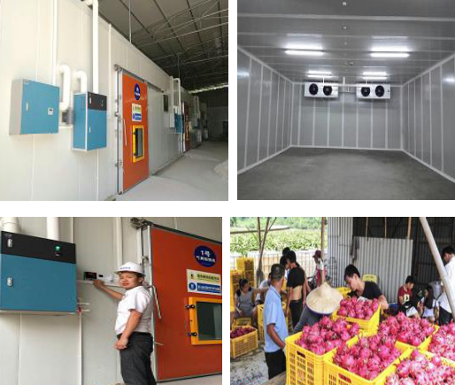 水果種植農(nóng)業(yè)專業(yè)合作社 火龍果保鮮庫、氣調(diào)庫案例