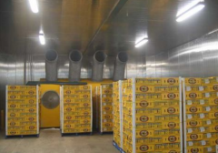 300噸葡萄保鮮庫造價，葡萄冷庫保鮮期及溫度多少？