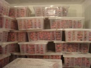 200噸葡萄保鮮庫建造，1000m3葡萄放冷庫可以放多久