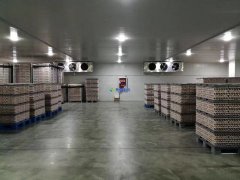 裝一座500噸葡萄保鮮庫(kù)造價(jià)怎么算，存儲(chǔ)多久？